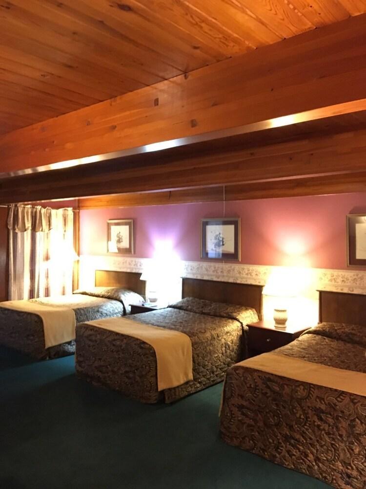 Love Hotels Western Holiday By Oyo At Harlan Lake Ne 阿尔马 外观 照片